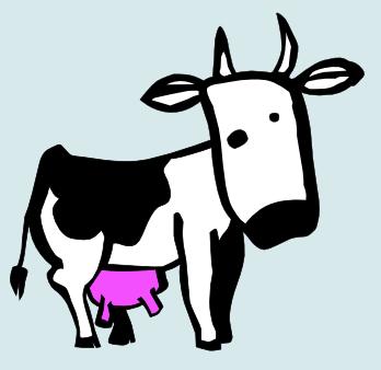 cow.jpg